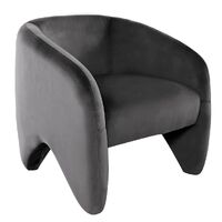 Maine Arm Chair - Taupe Velvet